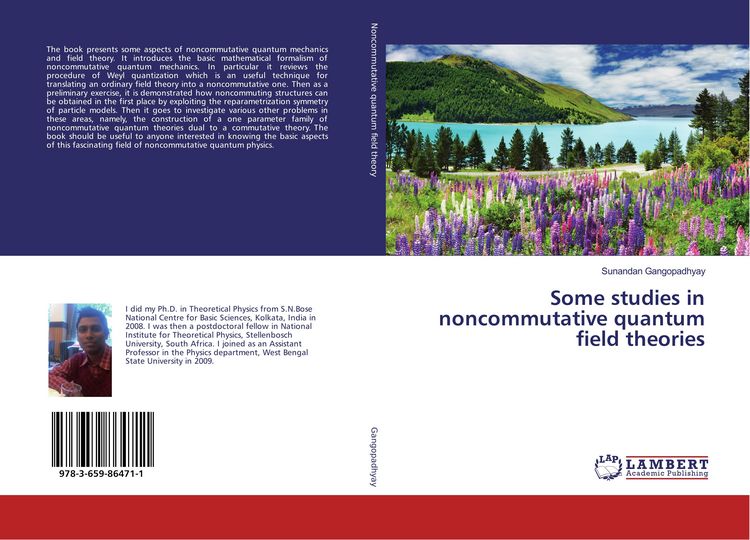 Produktbild: Some studies in noncommutative quantum field theories