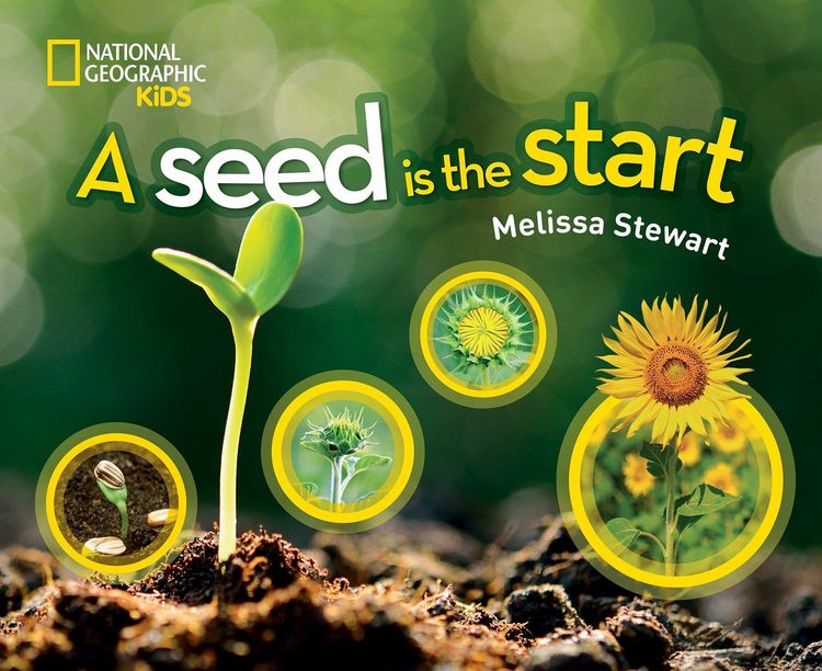 Produktbild: A Seed Is the Start