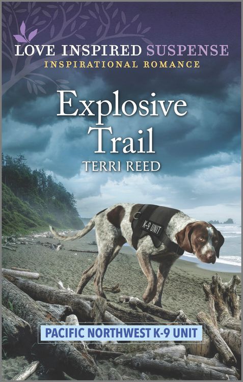 Produktbild: Explosive Trail