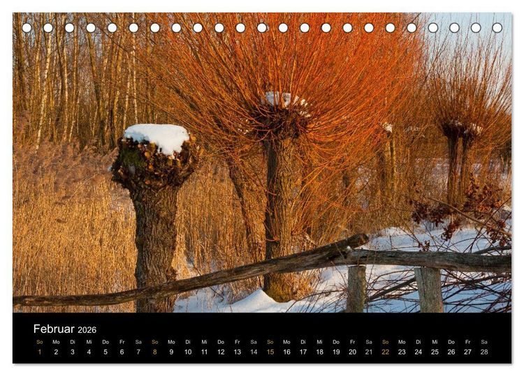 Produktbild: Brandenburg - Landschaften zwischen Elbe und Oder (Tischkalender 2026 DIN A5 quer), CALVENDO Monatskalender