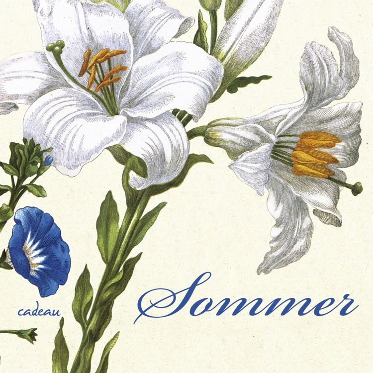 Produktbild: Sommer