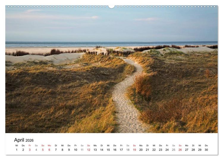 Produktbild: K&uuml;sten - Kunst der Meere (Wandkalender 2026 DIN A2 quer), CALVENDO Monatskalender