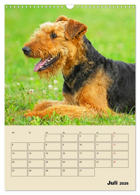Produktbild: Airedale Terrier - Temperament auf 4 Pfoten (Wandkalender 2026 DIN A3 hoch), CALVENDO Monatskalender