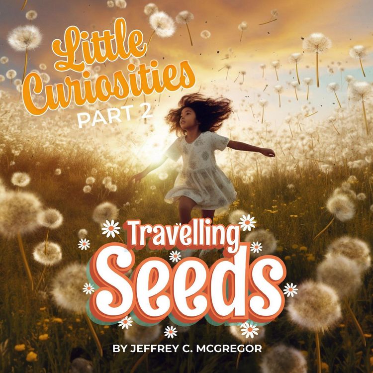 Produktbild: Little Curiosities(Part 2): Travelling Seeds