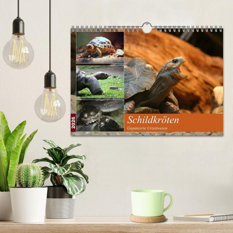 Produktbild: Schildkr&ouml;ten - Gepanzerte Urzeitwesen (Wandkalender 2026 DIN A4 quer), CALVENDO Monatskalender