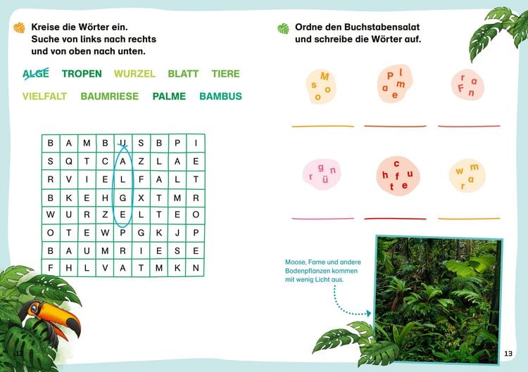 Produktbild: WAS IST WAS Erstes Lesen. Leser&auml;tsel Regenwald
