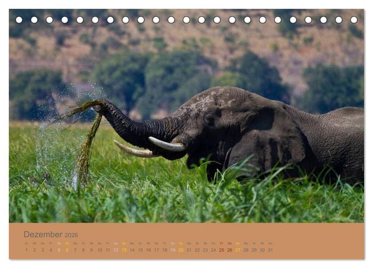 Produktbild: Afrika Impressionen. NAMIBIA - S&Uuml;DAFRIKA - BOTSWANA (Tischkalender 2026 DIN A5 quer), CALVENDO Monatskalender
