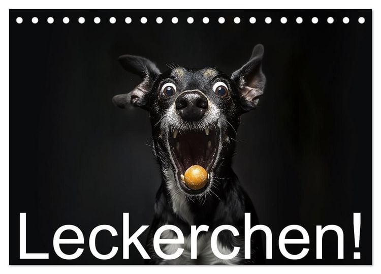 Produktbild: Leckerchen! (Tischkalender 2027 DIN A5 quer), CALVENDO Monatskalender