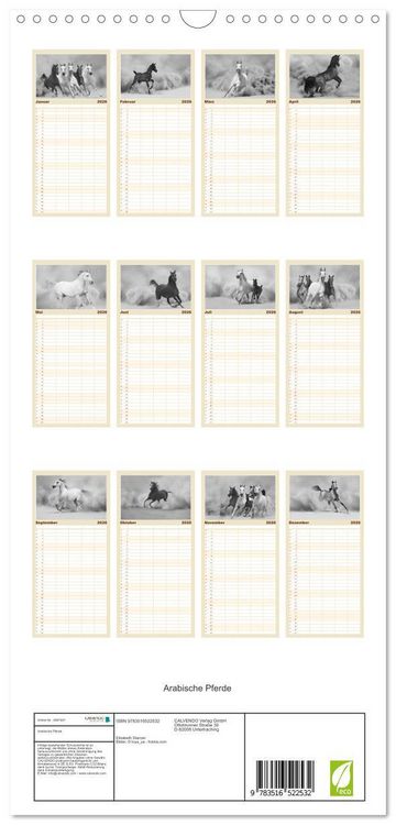 Produktbild: Familienplaner 2026 - Arabische Pferde mit 5 Spalten (Wandkalender, 21 x 45 cm) CALVENDO