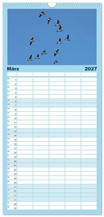 Produktbild: Familienplaner 2027 - V&ouml;gel im Flug - Akrobaten der L&uuml;fte mit 5 Spalten (Wandkalender, 21 x 45 cm) CALVENDO