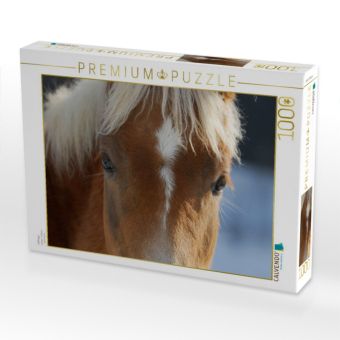 Produktbild: CALVENDO Puzzle Haflinger | 1000 Teile Lege-Gr&ouml;&szlig;e 64x48cm Foto-Puzzle f&uuml;r gl&uuml;ckliche Stunden