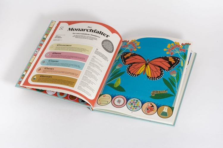 Produktbild: Insekten und ihre Superkr&auml;fte