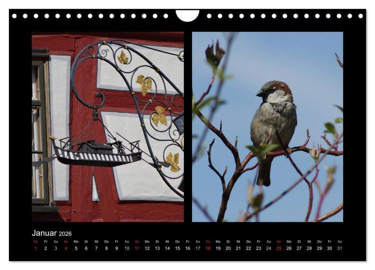 Produktbild: Ulmer Spatzen (Wandkalender 2026 DIN A4 quer), CALVENDO Monatskalender