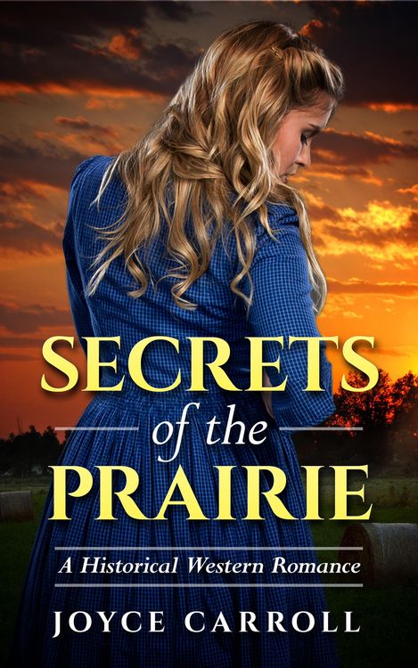 Produktbild: Secrets of the Prairie (Mystery romance)