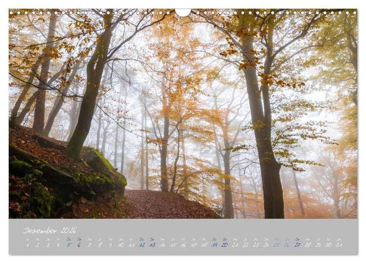 Produktbild: Ausfl&uuml;ge in der Heimat - Die Pfalz (Wandkalender 2026 DIN A3 quer), CALVENDO Monatskalender