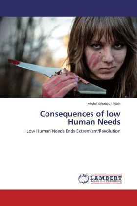 Produktbild: Nasir, A: Consequences of low Human Needs