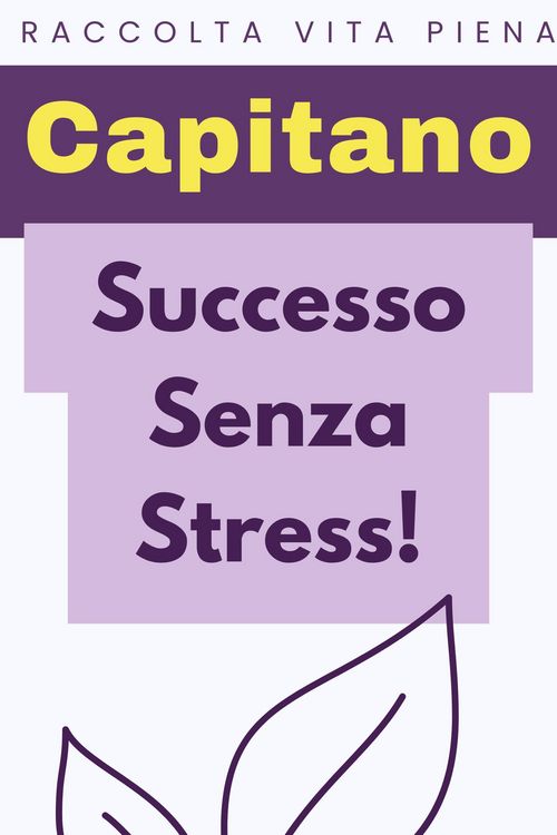 Produktbild: Successo Senza Stress! (Raccolta Vita Piena, #39)