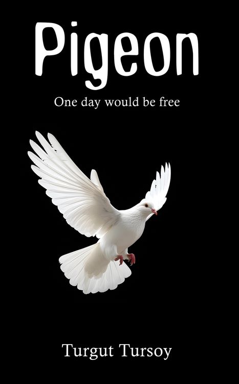 Produktbild: Pigeon