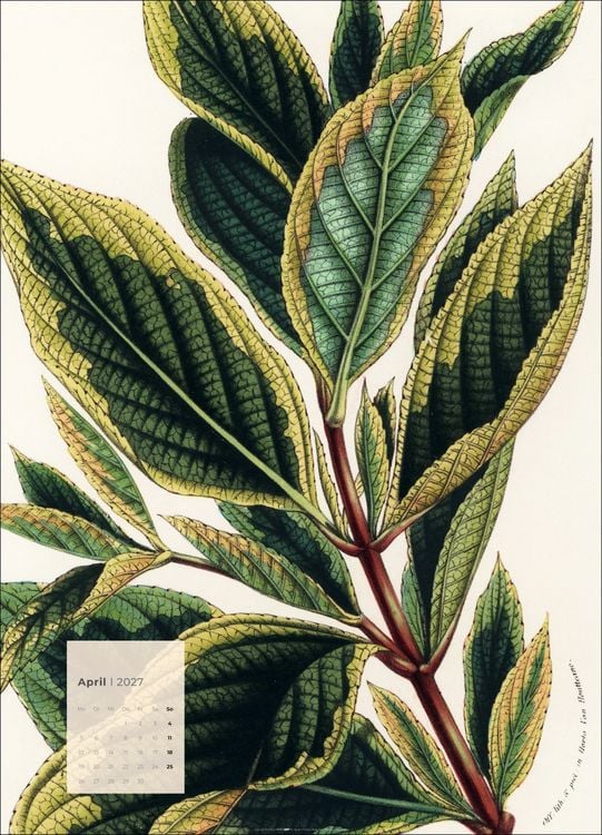 Produktbild: Botanicals Kalender 2027