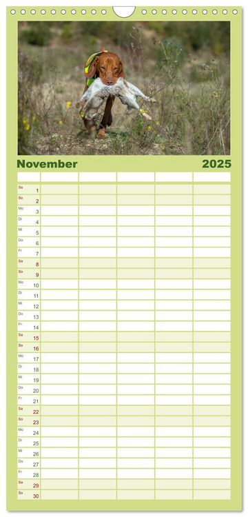 Familienplaner 2025 - Jagdhunde bei der Arbeit mit 5 Spalten (Wandkalender, 21 x 45 cm) CALVENDO