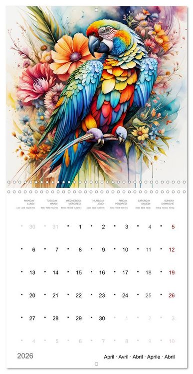 Produktbild: Des perroquets color&eacute;s (Calendrier mural carr&eacute; 2026 30x30 cm) Calendrier double avec une page pour vos prises de notes