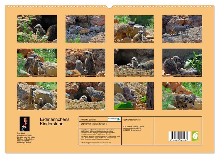 Produktbild: Erdm&auml;nnchens Kinderstube (hochwertiger Premium Wandkalender 2026 DIN A2 quer), Kunstdruck in Hochglanz