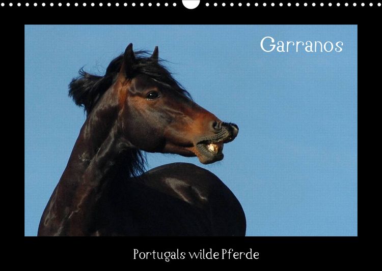 Produktbild: Garranos (Wandkalender 2022 DIN A3 quer)