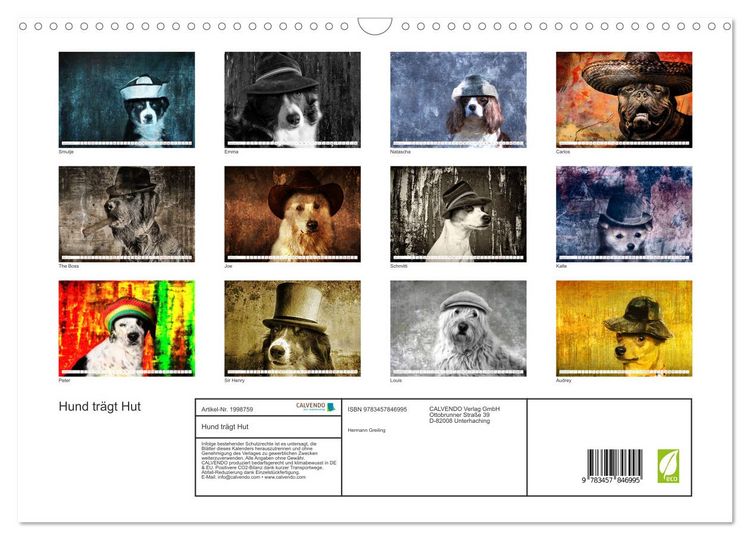 Produktbild: Hund tr&auml;gt Hut (Wandkalender 2026 DIN A3 quer), CALVENDO Monatskalender