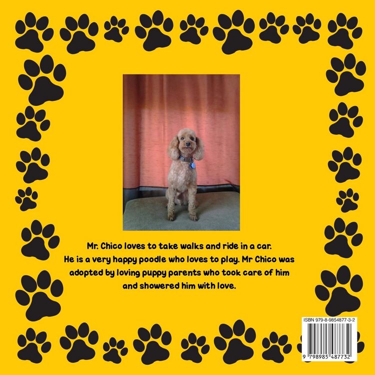Produktbild: Meet Mr. Chico