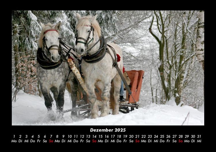 Produktbild: Die Welt der Pferde 2025 Fotokalender DIN A3