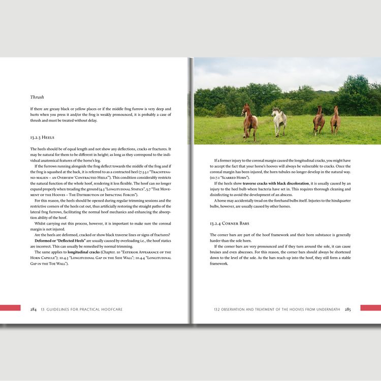 Produktbild: Hoofwork