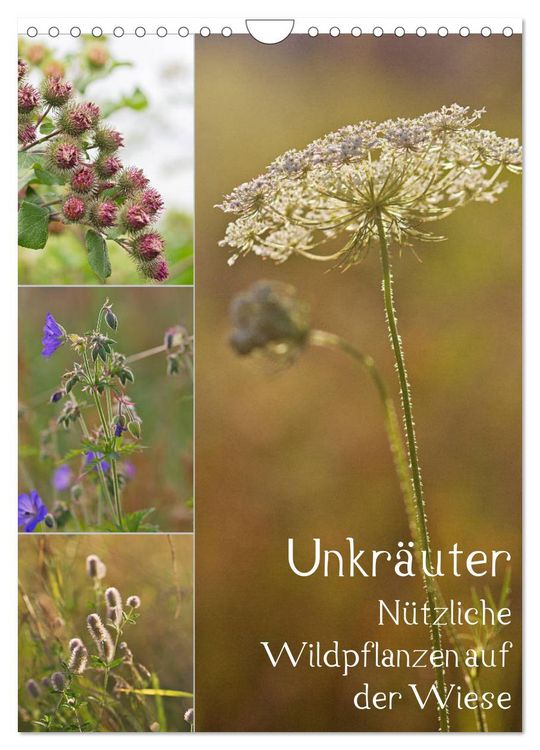 Produktbild: Unkr&auml;uter - N&uuml;tzliche Wildpflanzen auf der Wiese (Wandkalender 2026 DIN A4 hoch), CALVENDO Monatskalender