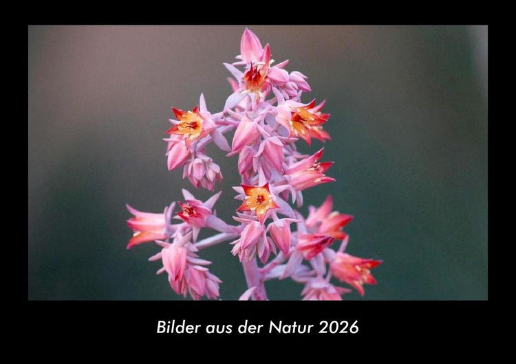 Produktbild: Bilder aus der Natur 2026 Fotokalender DIN A3