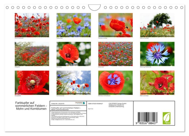 Produktbild: Farbtupfer auf sommerlichen Feldern - Mohn und Kornblumen (Wandkalender 2026 DIN A4 quer), CALVENDO Monatskalender