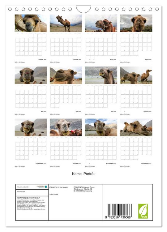 Produktbild: Kamel Portr&auml;t (Wandkalender 2026 DIN A4 hoch), CALVENDO Monatskalender
