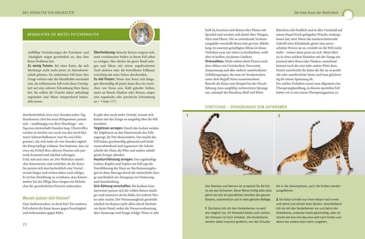 Produktbild: Was Katzen wirklich wollen