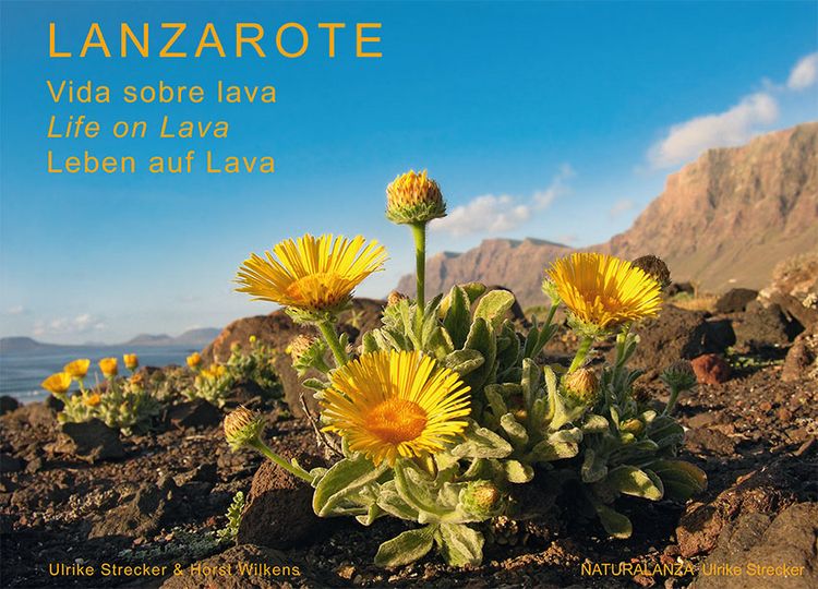 Produktbild: Lanzarote - Leben auf Lava