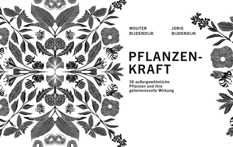 Produktbild: Pflanzenkraft