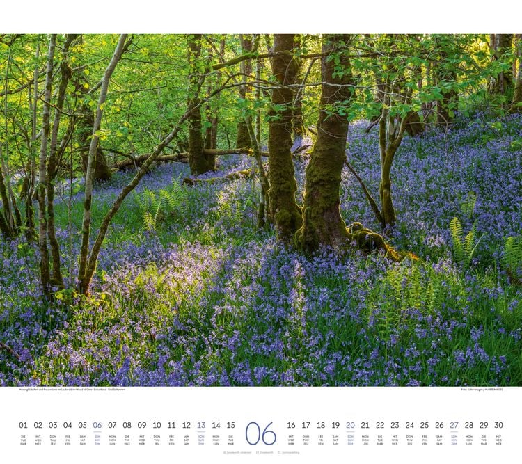 Produktbild: Wald Kalender 2027