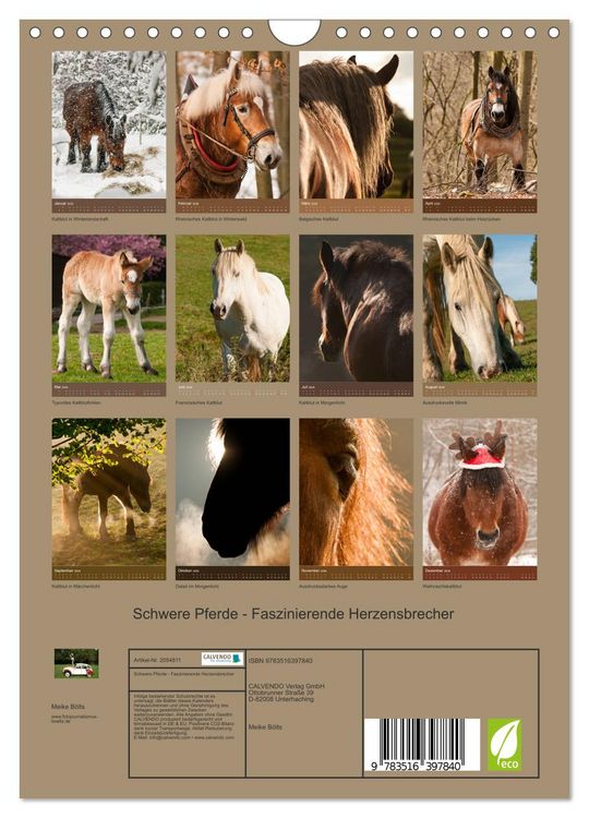 Produktbild: Schwere Pferde - Faszinierende Herzensbrecher (Wandkalender 2026 DIN A4 hoch), CALVENDO Monatskalender