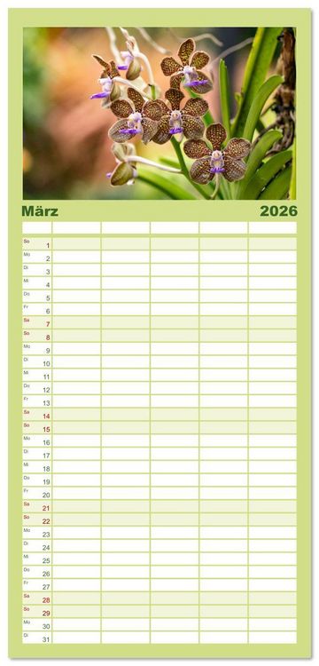 Produktbild: Familienplaner 2026 - Orchidaceae - Orchideen mit 5 Spalten (Wandkalender, 21 x 45 cm) CALVENDO