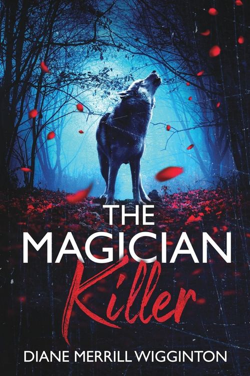 Produktbild: The Magician Killer