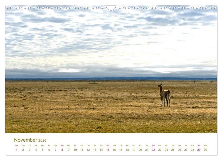 Produktbild: Weites Argentinien (Wandkalender 2026 DIN A3 quer), CALVENDO Monatskalender