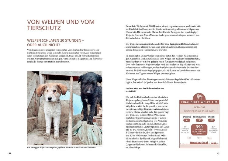 Produktbild: Die geheime Welt der Straßenhunde