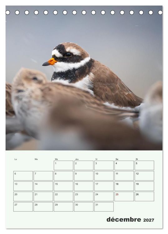 Produktbild: Voyage ornithologique (Calendrier de bureau 2027 DIN A5 horizontal), CALVENDO calendrier mensuel