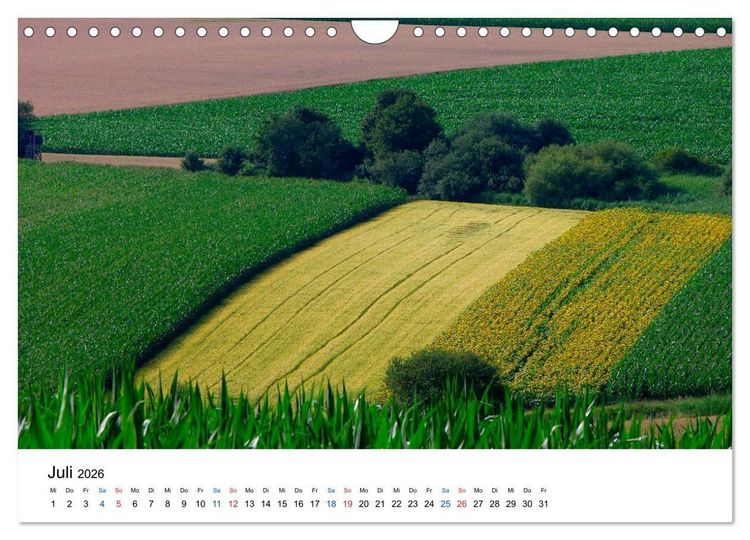 Produktbild: Felder und Wiesen (Wandkalender 2026 DIN A4 quer), CALVENDO Monatskalender
