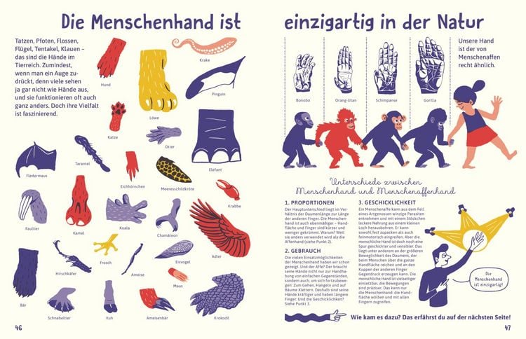 Produktbild: Alles &uuml;ber die Hand