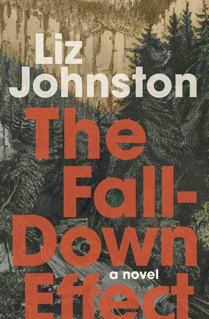 Produktbild: The Fall-Down Effect