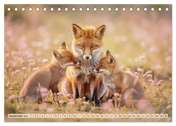 Produktbild: Zwischen den Feldern (Tischkalender 2027 DIN A5 quer), CALVENDO Monatskalender