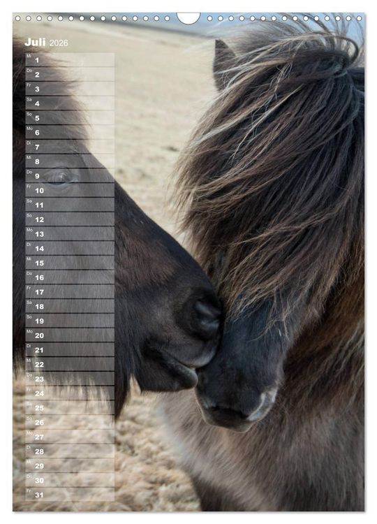 Produktbild: Mein ISLANDPFERDE Planer - Geburtstage, Hof-Feste, Turniere (Wandkalender 2026 DIN A3 hoch), CALVENDO Monatskalender